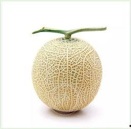 吃瓜群众鸡精,鸡精的魅力与争议