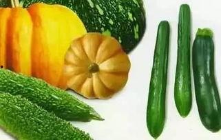 暗渡吃瓜,揭秘娱乐圈背后的秘密与八卦