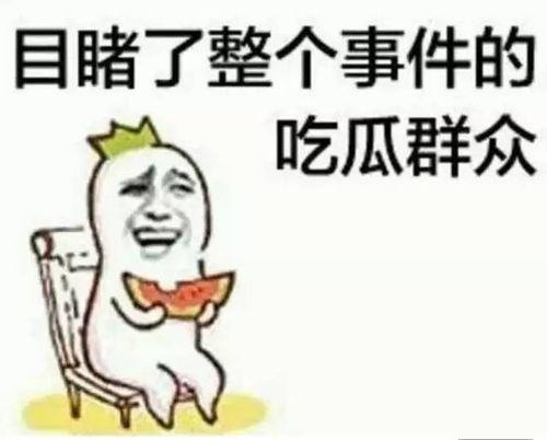 带你吃瓜猫科,带你走进“带你吃瓜猫科”的奇幻世界