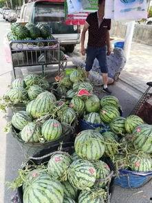 黄骅最新吃瓜事件,揭秘背后惊人真相